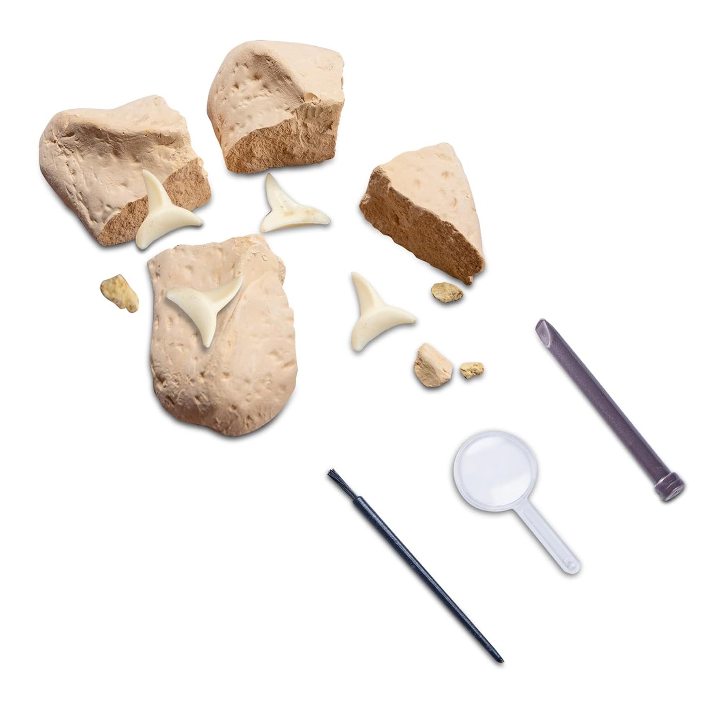 Dig & Discover - Shark Tooth Excavation - Box