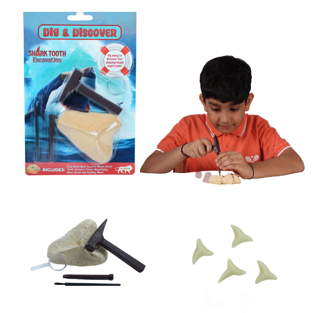 Dig & Discover Shark Tooth Excavation Kit Fossil, Shark Science Toy Gift for Kids Age 5+ | Fun & Educational Activity for Kids | STEM Toys Activities Kits for Boys and Girls