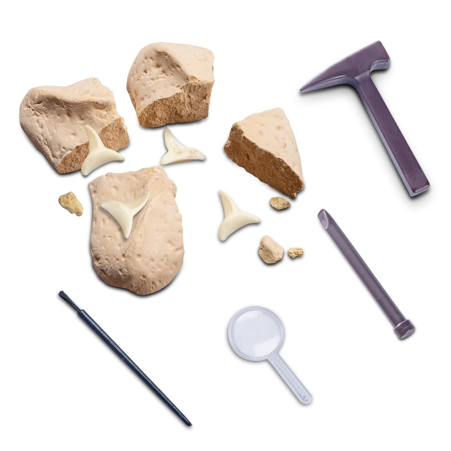 Dig & Discover Shark Tooth Excavation Kit Fossil, Shark Science Toy Gift for Kids Age 5+ | Fun & Educational Activity for Kids | STEM Toys Activities Kits for Boys and Girls